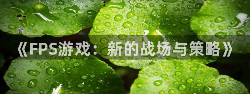 长征娱乐app：《FPS游戏：新的战场与策略》