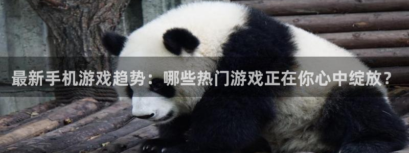 长征娱乐平台官网客服电话：最新手机游戏趋势：哪些热门游戏正在