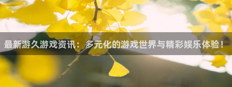 长征娱乐登陆测速：最新游久游戏资讯：多元化的游戏世界与精彩娱
