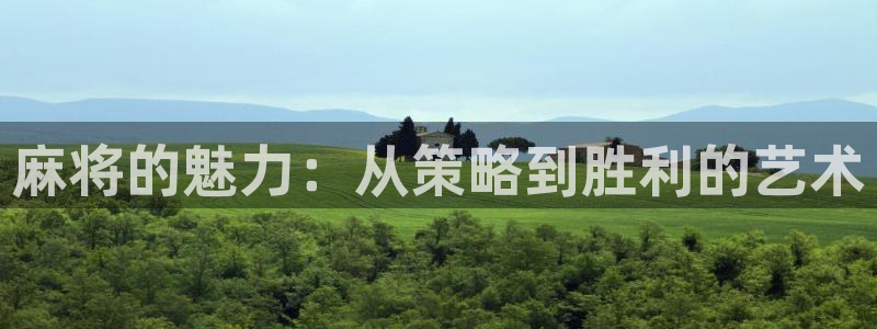 长征娱乐注册网站：麻将的魅力：从策略到胜利的艺术