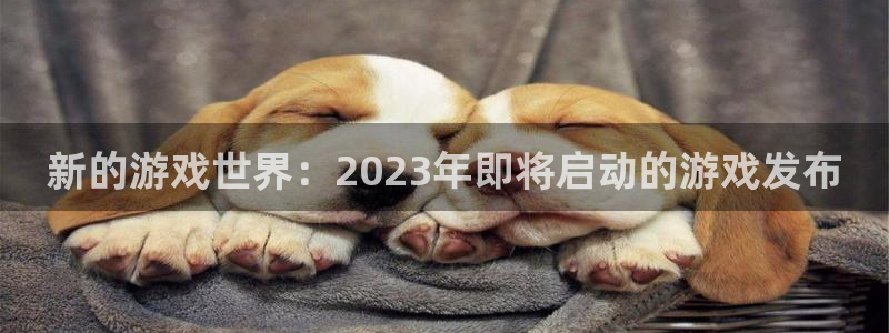 长征娱乐2首页登录：新的游戏世界：2023年即将启动的游戏发